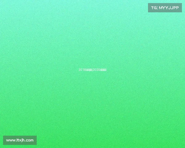 2016汽车赛事;2020汽车赛事