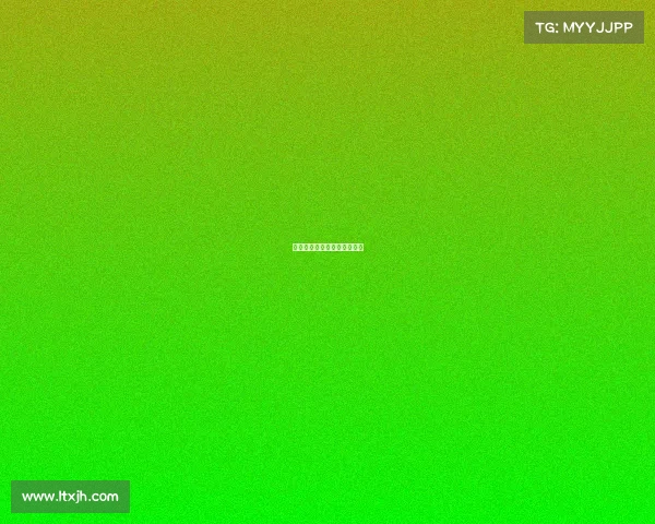 中乙赛事需要什么级别的裁判