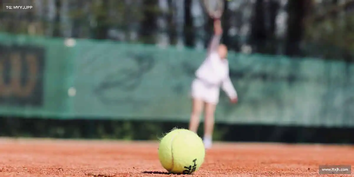乐天堂——🏄♀️🌊浪尖起舞，勇者无惧！